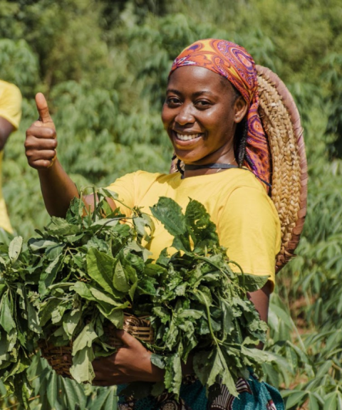 សួរព័ត៌មានអំពីដឹកជញ្ជូន